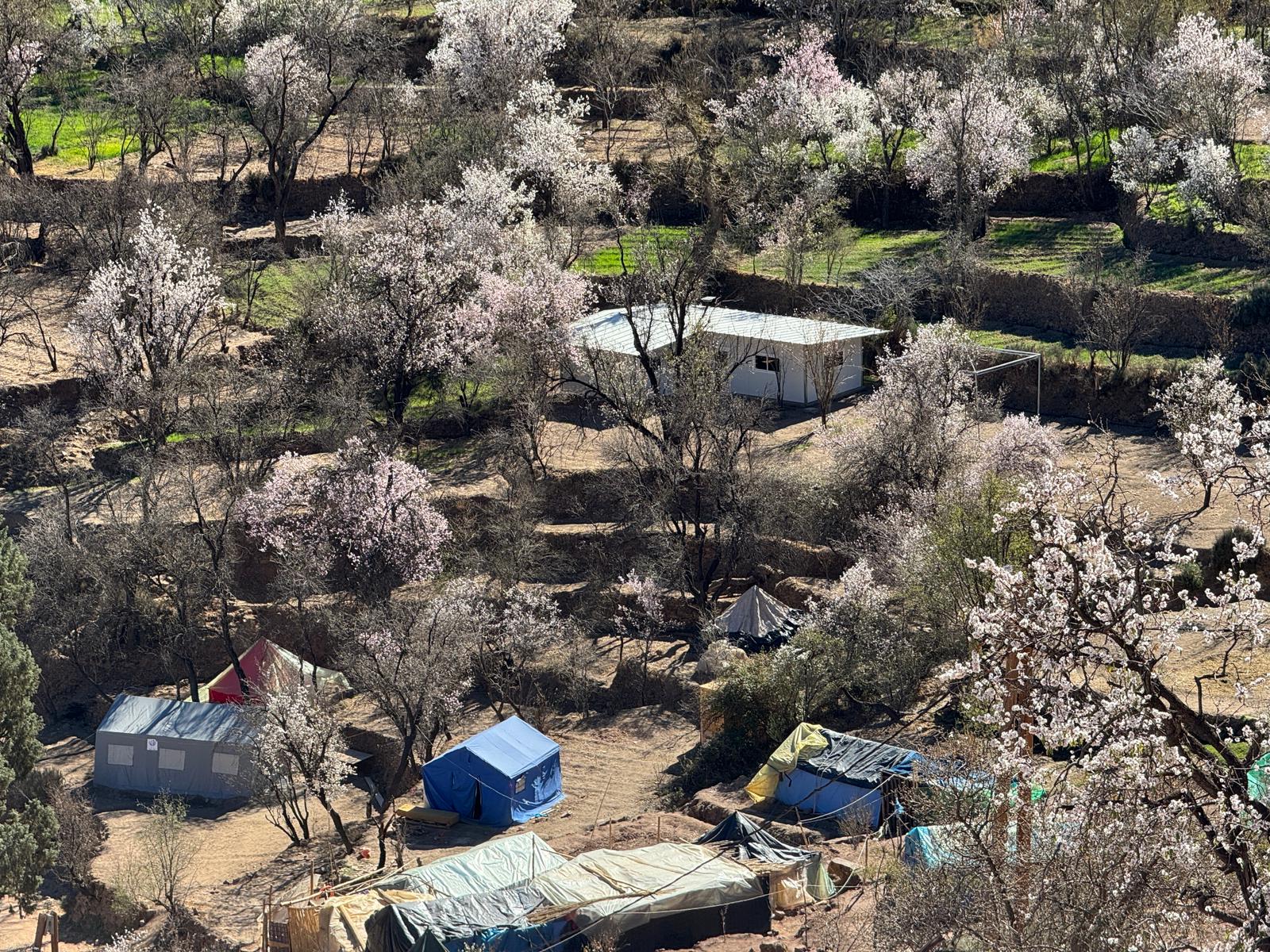 6530d33b-efab-4bae-8927-a4c23140c568 6530d33b-efab-4bae-8927-a4c23140c568